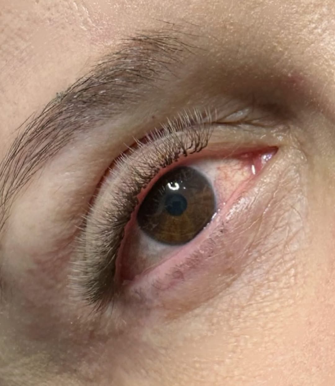 Lash Design 2